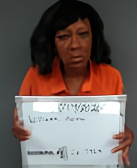 Mugshot of ADINA KATRICE WILLIAMS