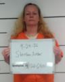 Mugshot of AMBER VIOLA SHEEHAN