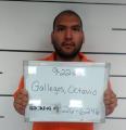 Mugshot of Octavio Gallegos