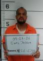 Mugshot of JOSHUA ELI OWEN