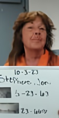 Mugshot of JONI ARLENE STEPHENS