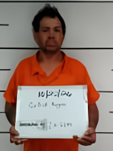 Mugshot of Royce Gullick