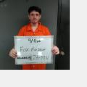 Mugshot of Bobbie Lee Third Fox
