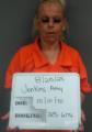Mugshot of Amy Rosetta Jenkins