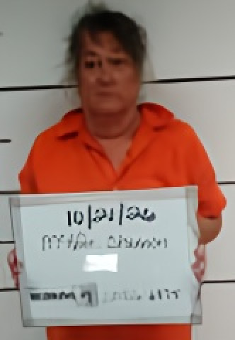 Mugshot of Shannon Mcafee