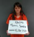 Mugshot of SANDRA LYNN MORRIS