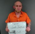Mugshot of Joshua Douglas Lorne Ward