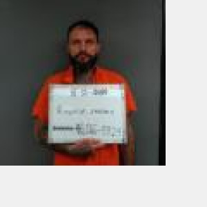 Mugshot of Steven Ray Ritchie