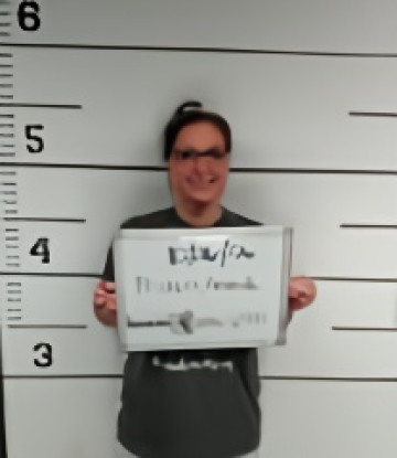 Mugshot of Amanda Lee Prickett