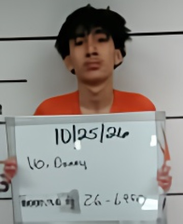 Mugshot of DANNY MINH VO