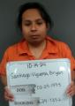Mugshot of Bryan G Santiago-Vigueras