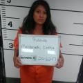 Mugshot of CINTHIA HERNANDEZ MALDONADO