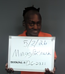 Mugshot of Preshanda Nicole Mingo