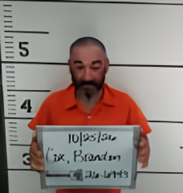Mugshot of BRANDON LEE Senior COX
