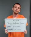 Mugshot of Trevor Matthew-Dewayne Starling-Henderson