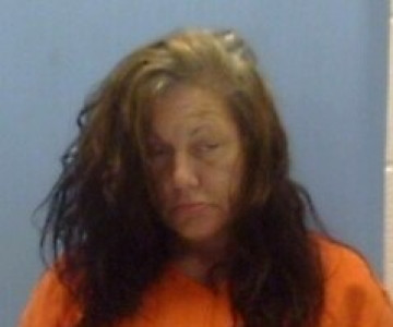 Mugshot of ROBIN GEORGETTE WHISENHUNT