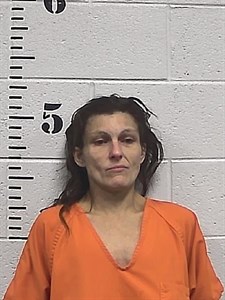 Mugshot of Rosa Myers