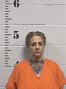 Mugshot of Jeannie Lynn Sisco