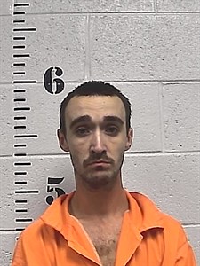 Mugshot of Nicholas Tomei