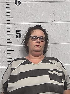 Mugshot of Breena Janette Rose