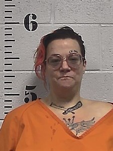 Mugshot of Shelley Ogland