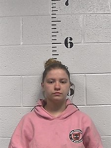 Mugshot of Joy Faye Cheyenne Smith