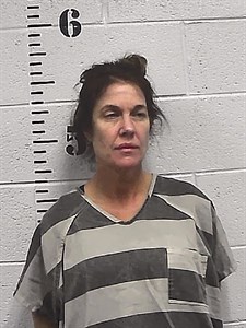 Mugshot of Sara Kay Phelps