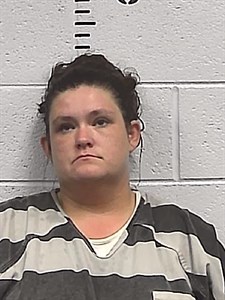 Mugshot of Mary Ann collins