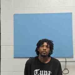 Mugshot of LINDSEY ROBINSON