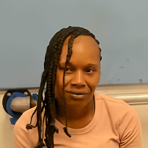 Mugshot of CHIQUITA BOYLAND