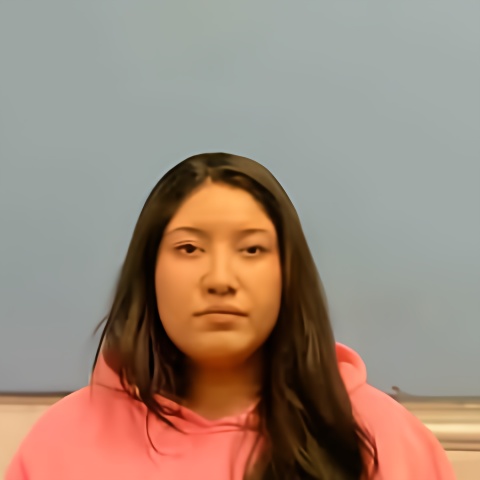 Mugshot of JAQUELINE CASTRUITA
