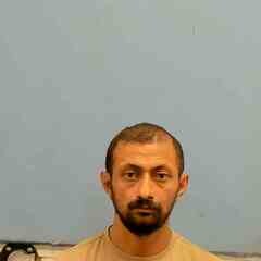 Mugshot of GRGORYAN VAHAGN