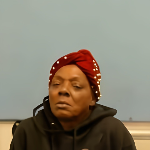 Mugshot of DEBRA WILLIAMS