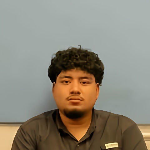 Mugshot of MIRELES CASTRUITA