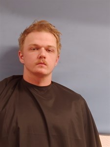 Mugshot of Anthony Bendall