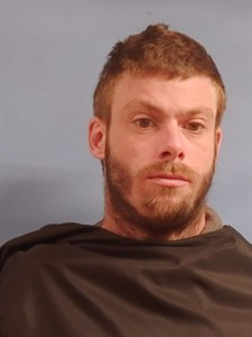 Mugshot of Johnny DALE REED