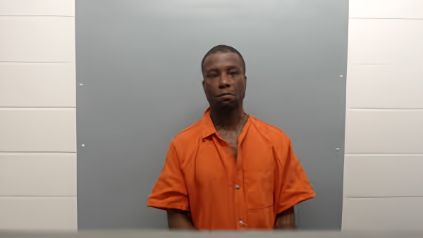 Mugshot of Danyell Jolette Turner