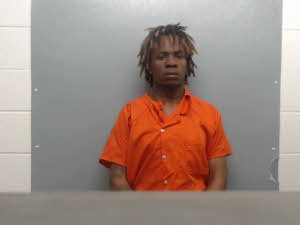 Mugshot of Justin Levingston