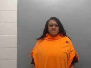 Mugshot of Brandy Hamilton