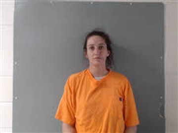 Mugshot of LAURA LEE WRIGHT