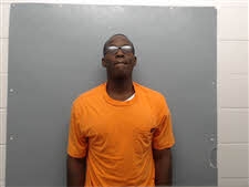 Mugshot of TERRY LYNN CRITTON