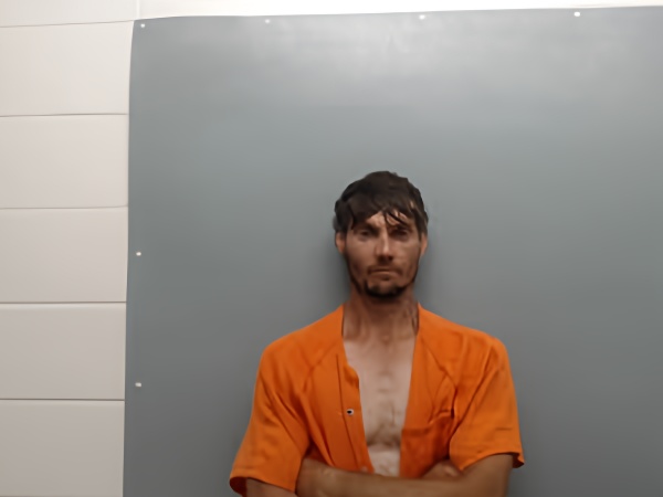 Mugshot of TRACIE NIEL DOWNS