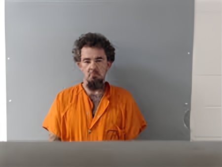 Mugshot of RONNIE JOE WALLACE