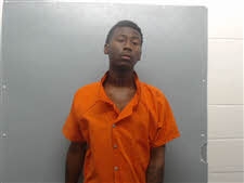 Mugshot of DENIM WELCH