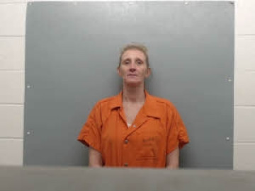 Mugshot of Heather Platt