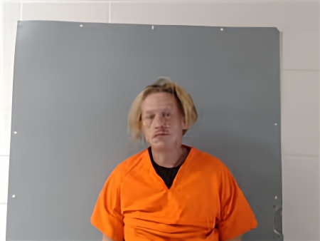 Mugshot of TIMOTHY DAVID WILLIAMS