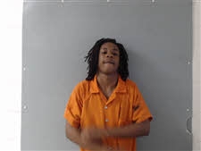 Mugshot of JAKEL WOODS