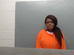 Mugshot of Katrina Leigh McGhee