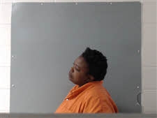 Mugshot of SHERRLIE NICOLE TURNER