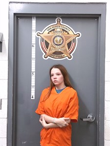 Mugshot of Gaberiela Kaley